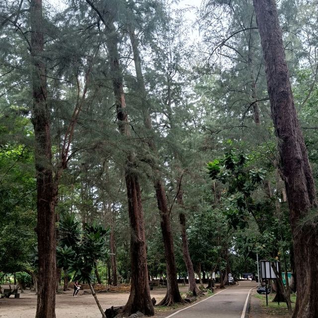 Alone time at Hatnoppharatharra Beach, Krabi