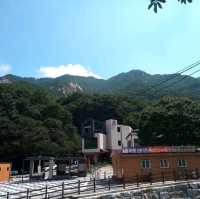 영엄한 계룡산에서 2023년을 맞이하고싶다