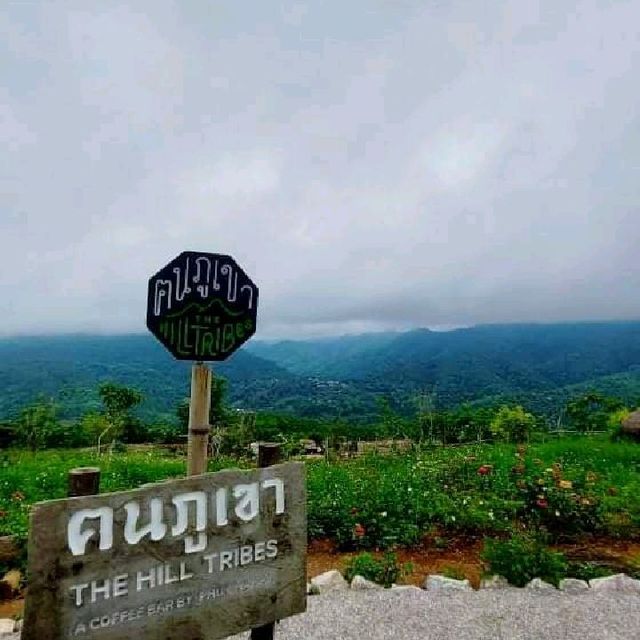 altTitle