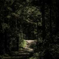 Taman Wisata Gunung Pancar