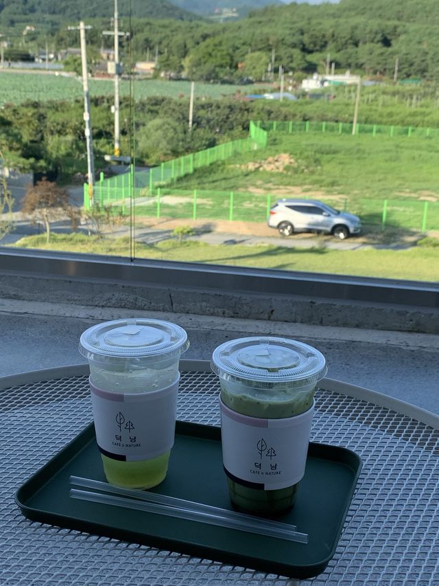 탁트인 자연정원이 있는 카페, 덕남