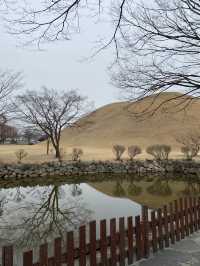<경주> 황리단길 옆에 위치한 경주 대릉원