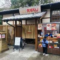 名古屋名物味噌カツ【矢場とん】⭐