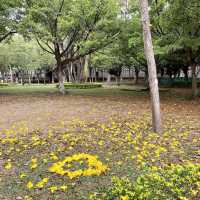 屯門湖山公園 打卡親子散步都可以