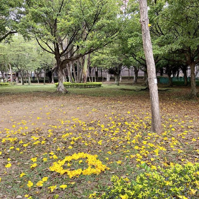 屯門湖山公園 打卡親子散步都可以