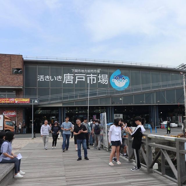 週末限定刺身漁市場—唐戶市場