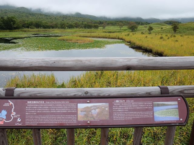 知床五湖|世界自然遺產 知床五湖|世界自然遺產