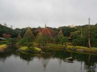名古屋最大的日式庭園《白鳥庭園》
