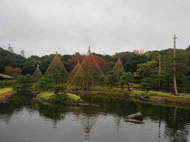 名古屋最大的日式庭園《白鳥庭園》