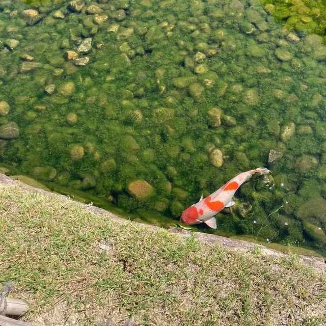 日本三大名園之一後樂園