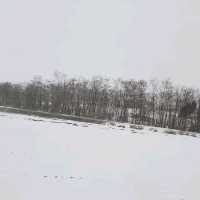 北海道白金溫泉