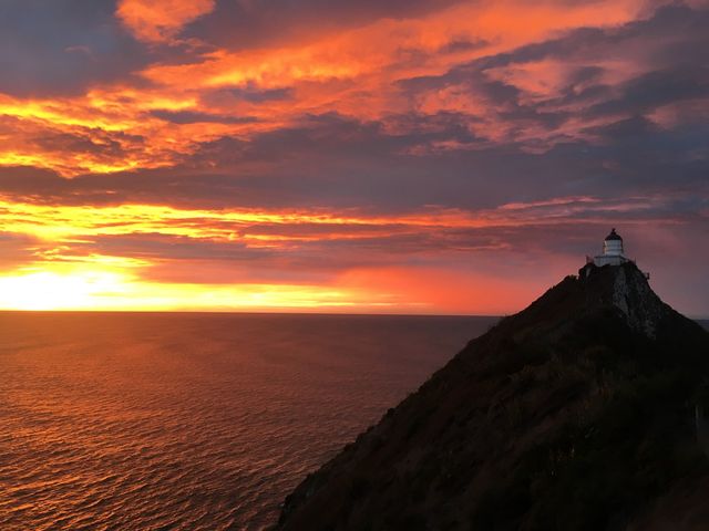 🇳🇿뉴질랜드에서 바라보는 가장 멋진 일출🌅