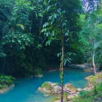 Try Canyoneering at Kawasan Falls