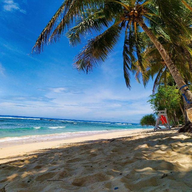 Tiny Hauz beach Resort---GovGen