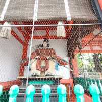 【京都 祇園】八坂神社⛩️