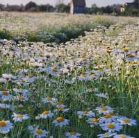 🌸📸 พาแอ่ว… I Love Farm…