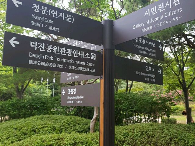 Deokjin Park Day View 