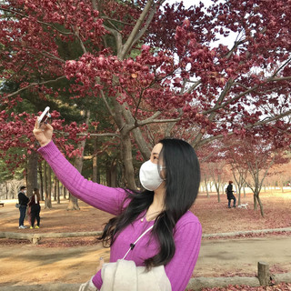 가평 남이섬 단풍 여행 ❤️‍🔥(인생샷 무조건 가능)