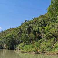 Loboc River Cruise