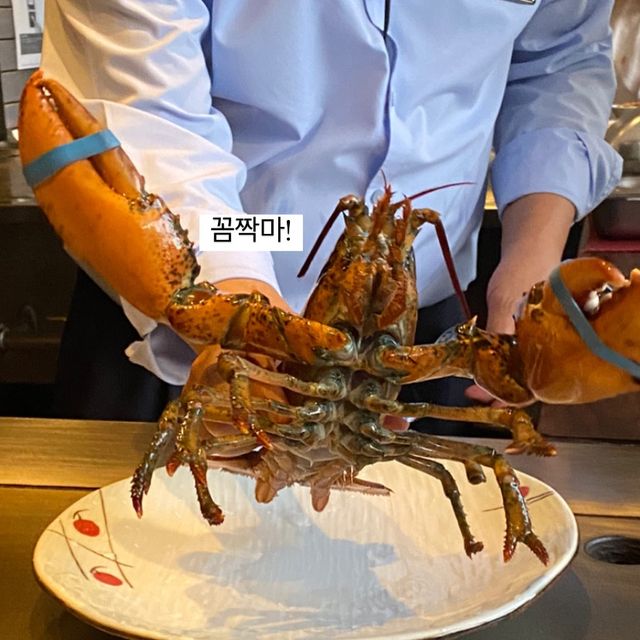 분당에 숨겨진 철판요리집🦞