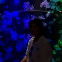 สวรรค์ของคนรักสัตว์น้ำ