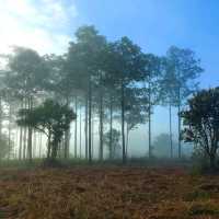 ทุ่งแสลงหลวง หนองแม่นา