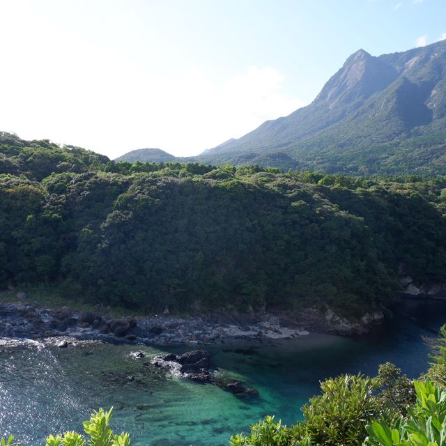 屋久島で滝巡り