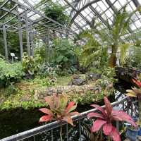 京都府立植物園の温室