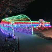 千葉県！ドイツ村のイルミネーションその③