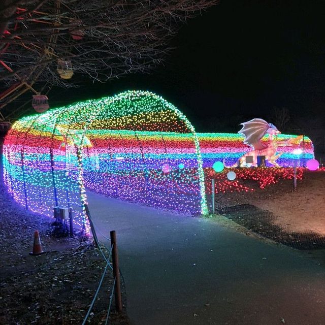 千葉県！ドイツ村のイルミネーションその③