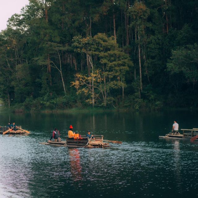 ปางอุ๋ง จ.แม่ฮ่องสอน 🌲🦢