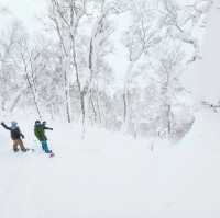 Dream time in Japow