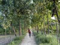 A remote Village of India 