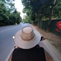 I YANGSHOU SO MUCH! 