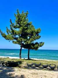 강릉 조용하고 청량한 바다 “송정해수욕장”🌊