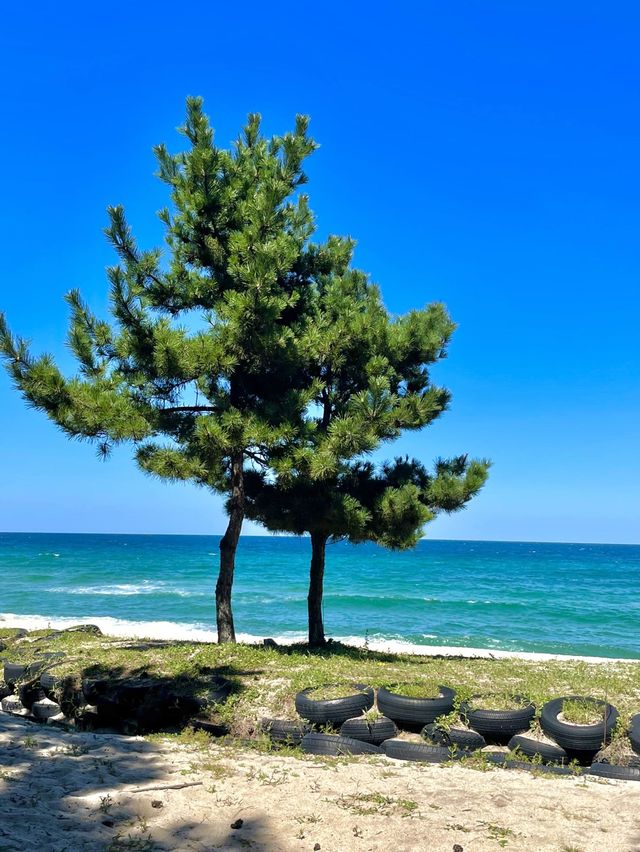 강릉 조용하고 청량한 바다 “송정해수욕장”🌊