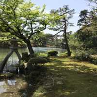 日本三大名園之一 兼六園