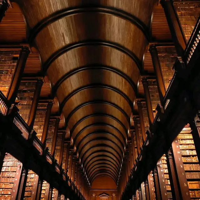 Amazing library