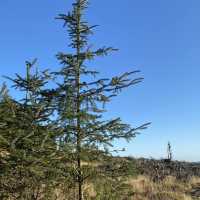 Three Lochs Way-Balloch to Helensburgh 