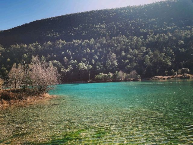 Blue Moon Valley|Feast for the Eyes