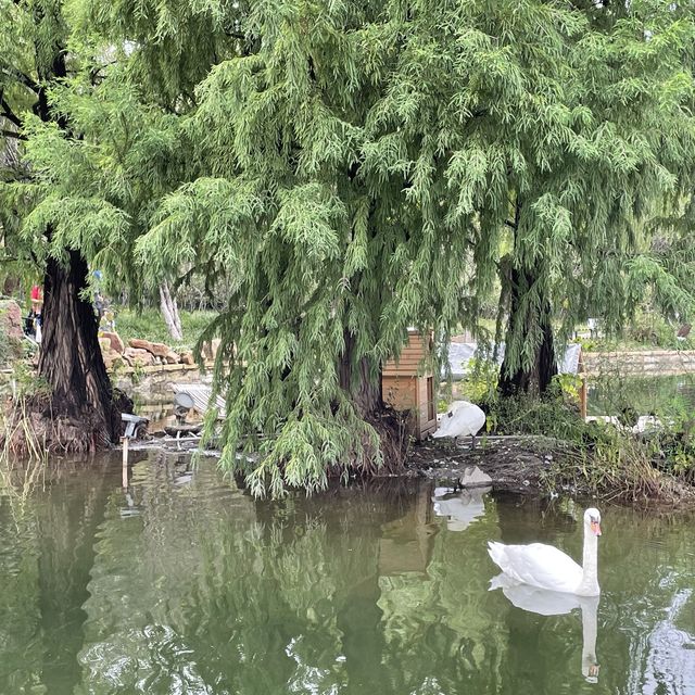 Nanjing - Mochouhu park