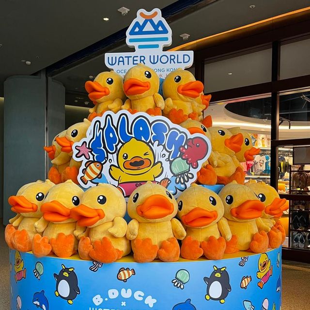 B.Duck x水上樂園