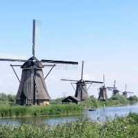 Don't leave Holland without seeing windmills