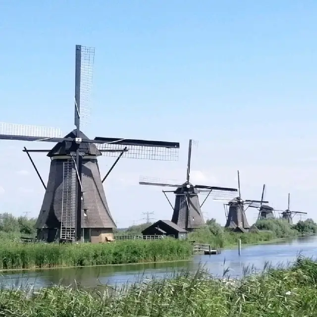 Don't leave Holland without seeing windmills