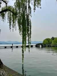 A must see in Hangzhou 🍃