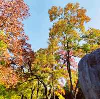 Ming Tombs in Nanjing's Golden Autumn