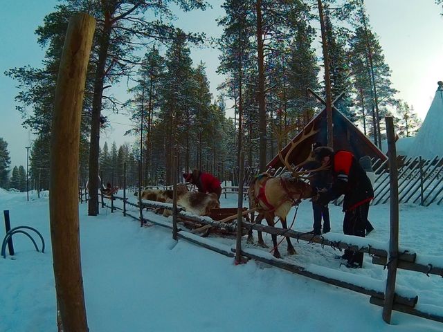 Husky-Sledding in Rovaniemi, Finland🇫🇮✈️❄️