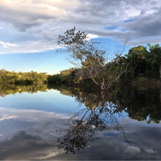 living in the world’s largest rainforest 