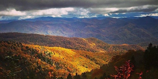 Aimee Coury's Nature Photography Exhibit | Northfield Mandolin Workshop