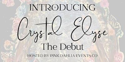 The Crystal Elyse Debut Party | Trinity Events Place, Stoneway Drive North Suite 300, Fort Worth, TX, USA